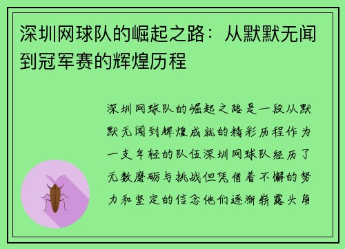 深圳网球队的崛起之路：从默默无闻到冠军赛的辉煌历程